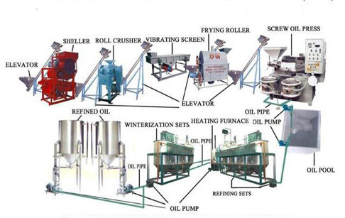 Automatic feeding times press sesame oil press machine for 6YL-100