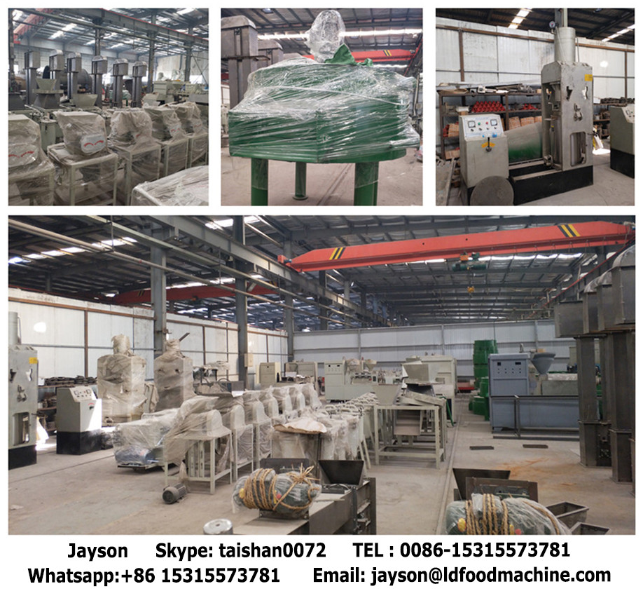 Seed oil extraction machine/groundnut oil processing machine/palm kernel oil mill price