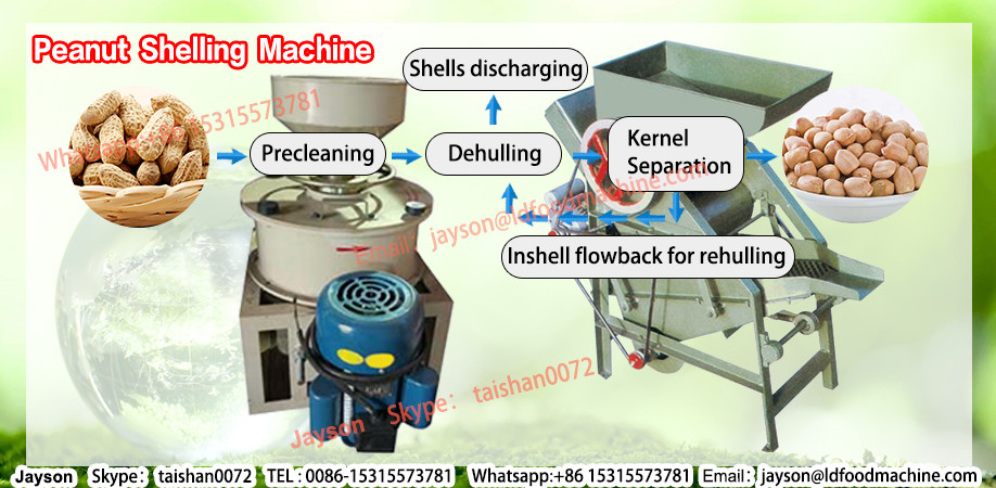 Hydroponic Automatic Bean Sprout Growing Machine/Automatic sprouting machine/soya Bean sprouting machine008615838061730