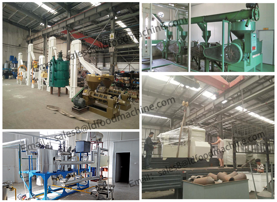 100TPD moringa seed oil extraction machine