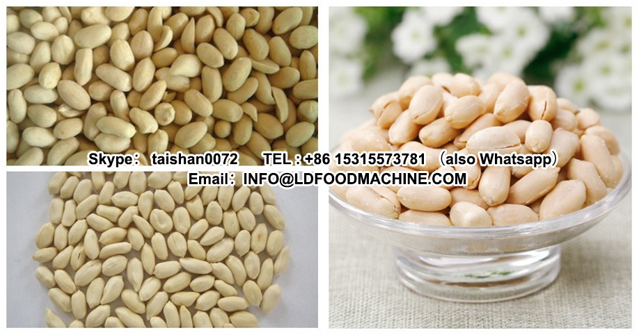600kg/hr Blanched peanut manufacturing equipment/roasted peanuts production line