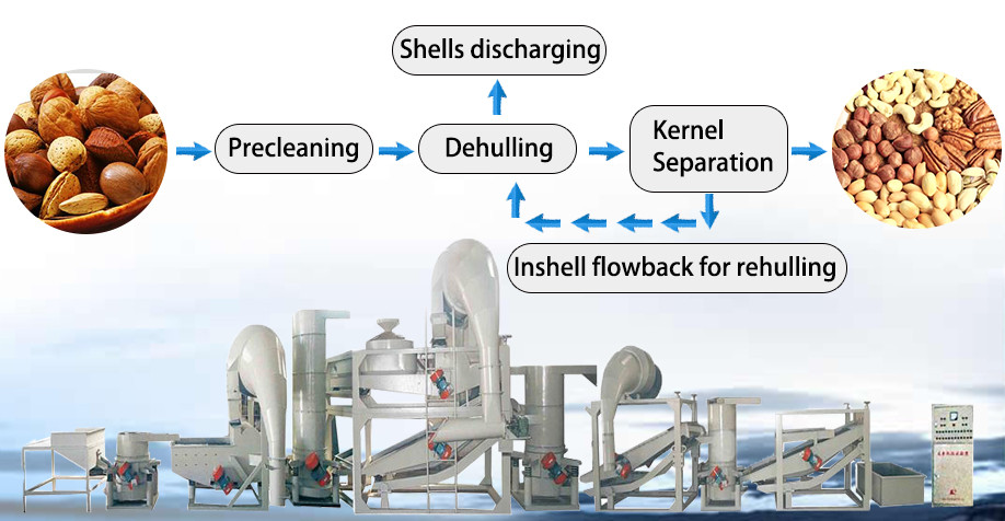 Big model 3-level almond shelling machine /almond processing machines / almond cracker machine 0086-15981835029