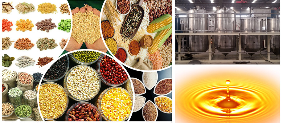 Rice Bran Oil Factory Project