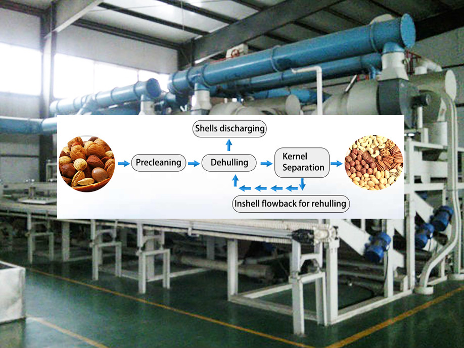 hig peeling rate 98% apricot kernel skin peeling machine/almond peeler with CE and ISO9001
