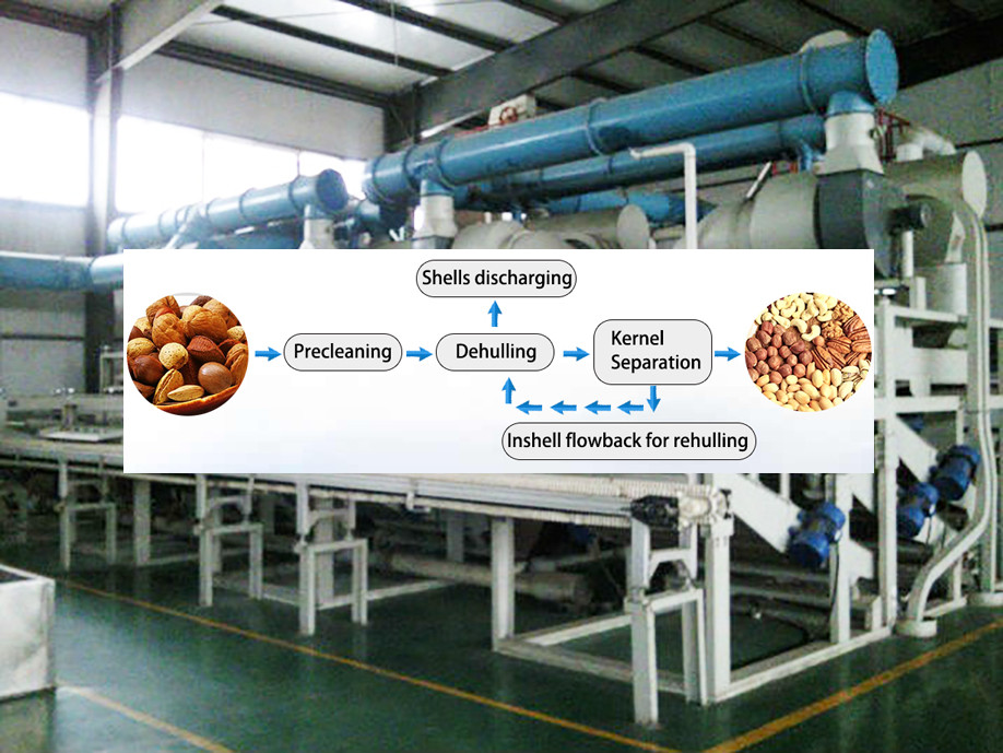 Best quality almond seed remover/apricot seed getting machine/almond shell separating machine 0086-15981835029