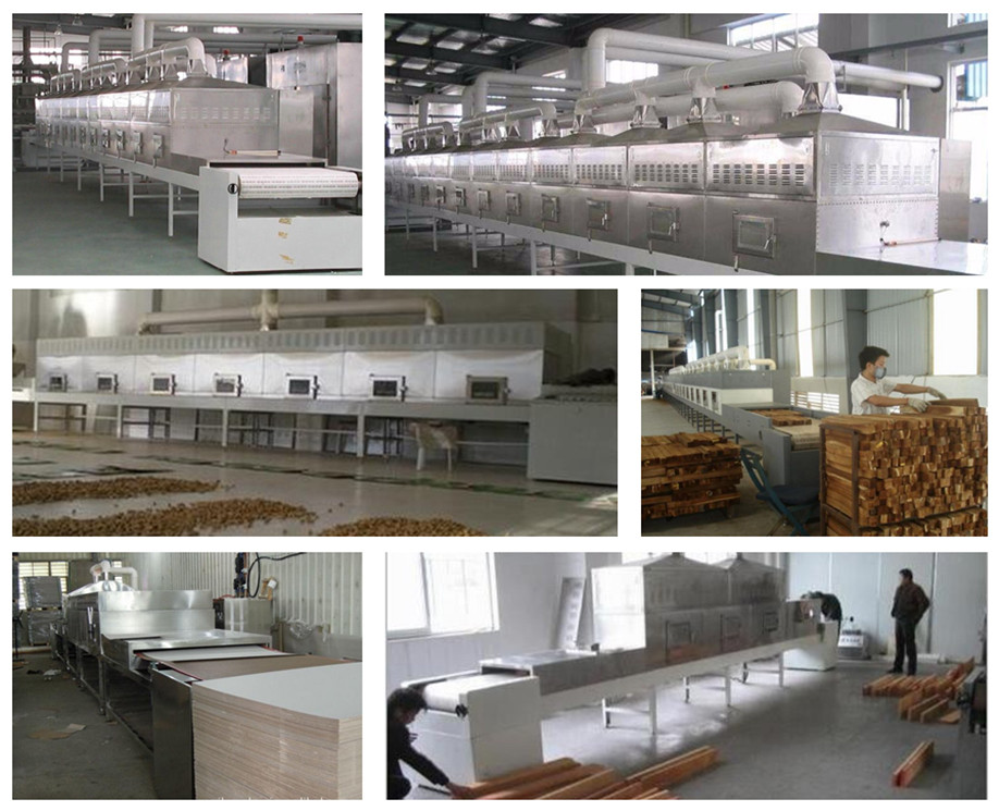 Industrial stainless steel soybean protein textured/bilein tunnel microwave drying equipment