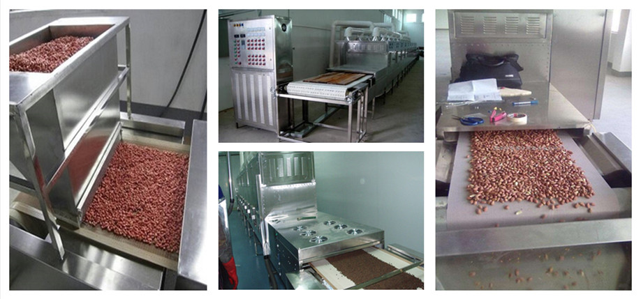 2 in 1 spices powder drying and sterilizing microwave equipment