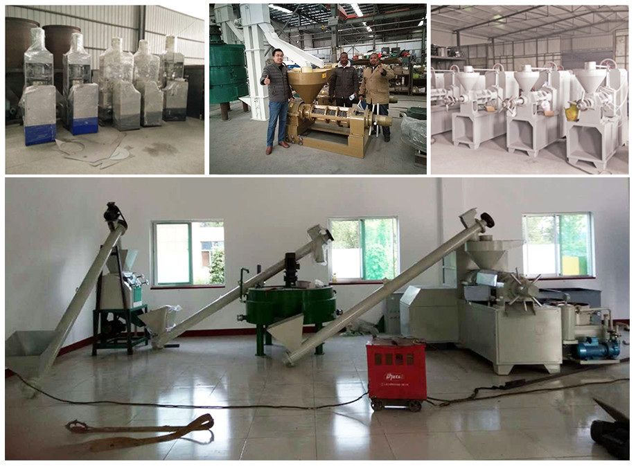 Cooking peanut oil extractor,Oil press machine, Oil Expeller