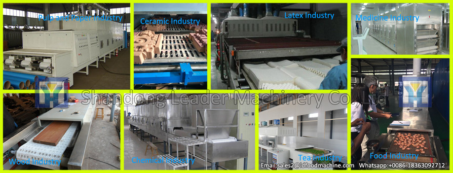 Factory in Guangzhou Batch Type Meat Drying Machine
