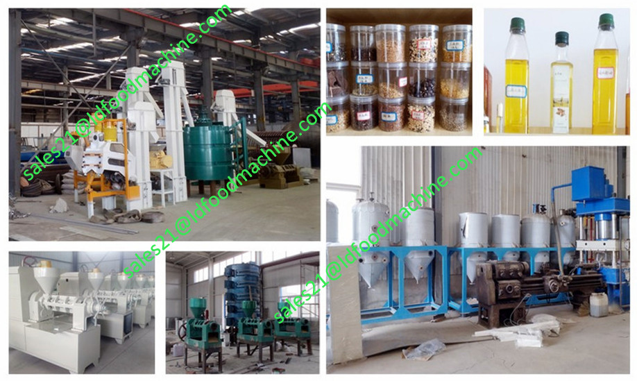 Low consumption 20TPD maize milling machine hot sale in kenya