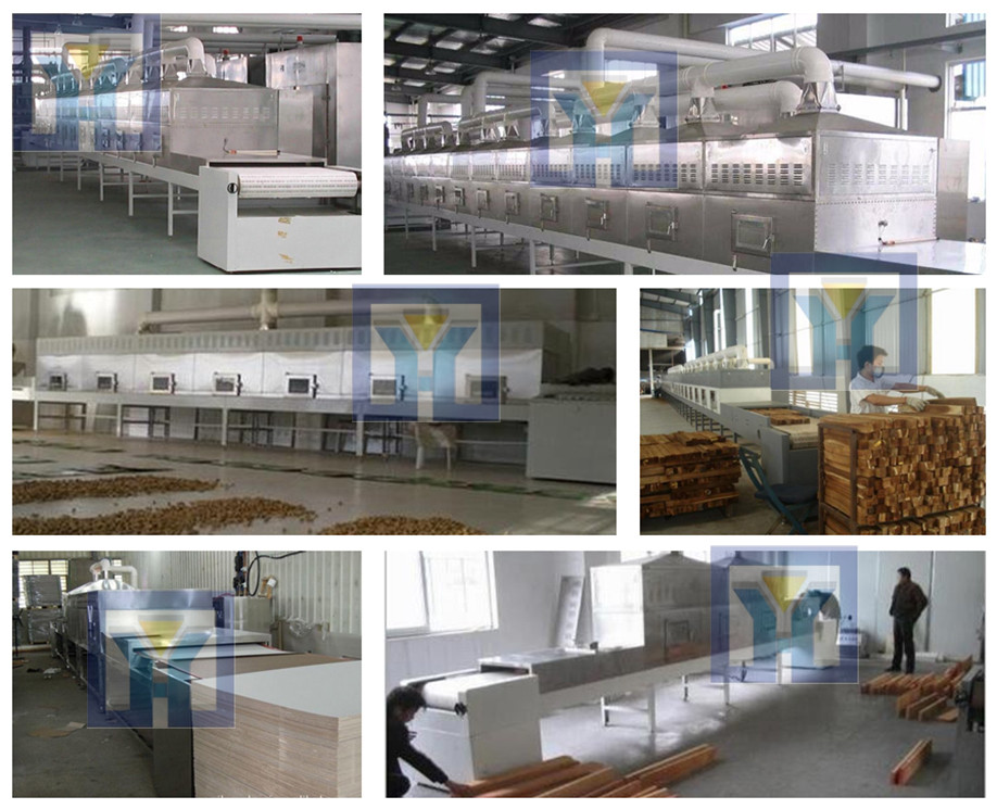 Industrial microwave shrimp shell drying machine