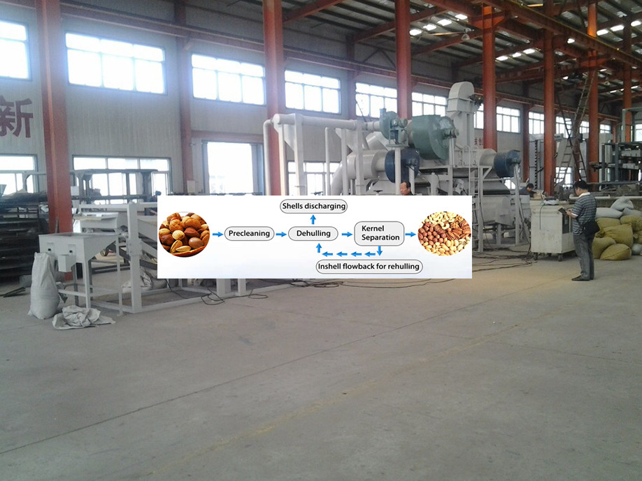 Shandong Leader Machinery Co.,ltd. Factory Price India Roasted Peanut Red Skin Removing Monkey Nut Groundnut Peeler Peanut Peeling Machine with Dry Type