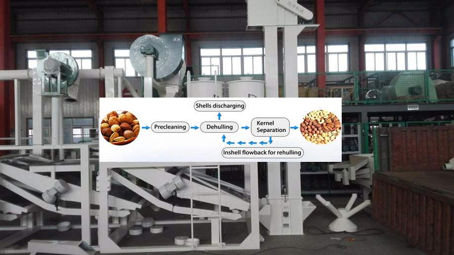 Hot sale Chestnut Peeler /Chestnut Deburring Machine/ Chestnut Shelling Machine