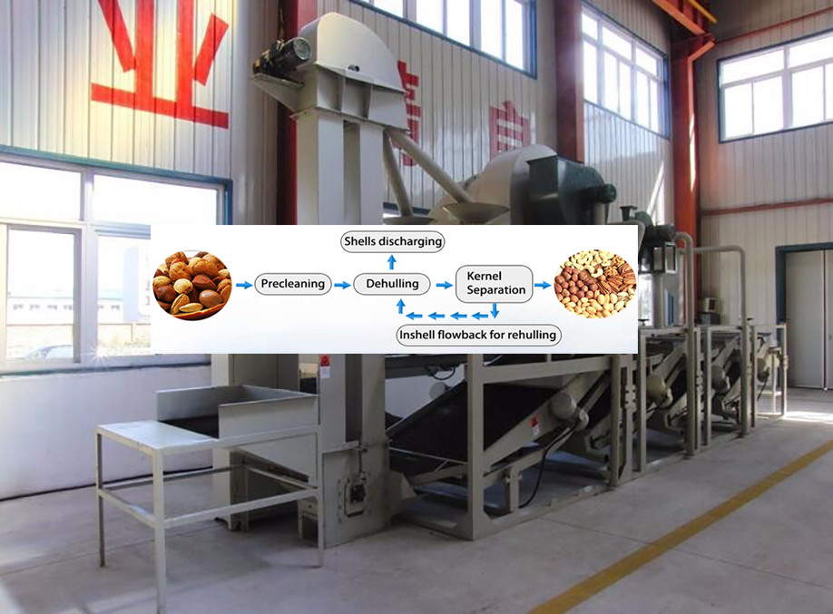 Hot-Sale Apricot Shelling Machine/Almond Hulling Machine 0086-15981835029