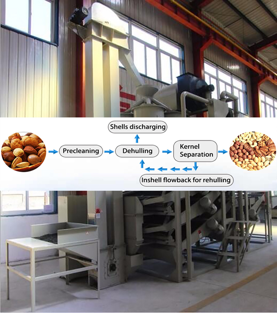 macadamia nuts shell cutting machine /industrial Macadamia nuts cracking machine