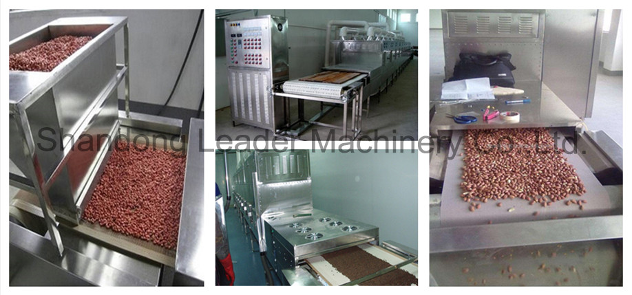 Industrial microwave trepang drying and sterilizing oven