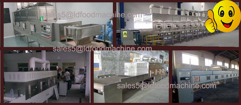 Tomato drying equipment/vegetable and fruit drying equipment