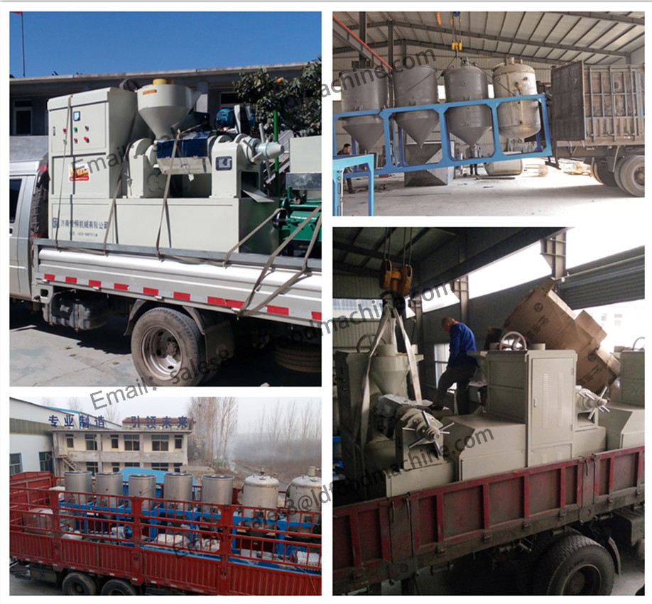 high efficient radish washing and peeling machine