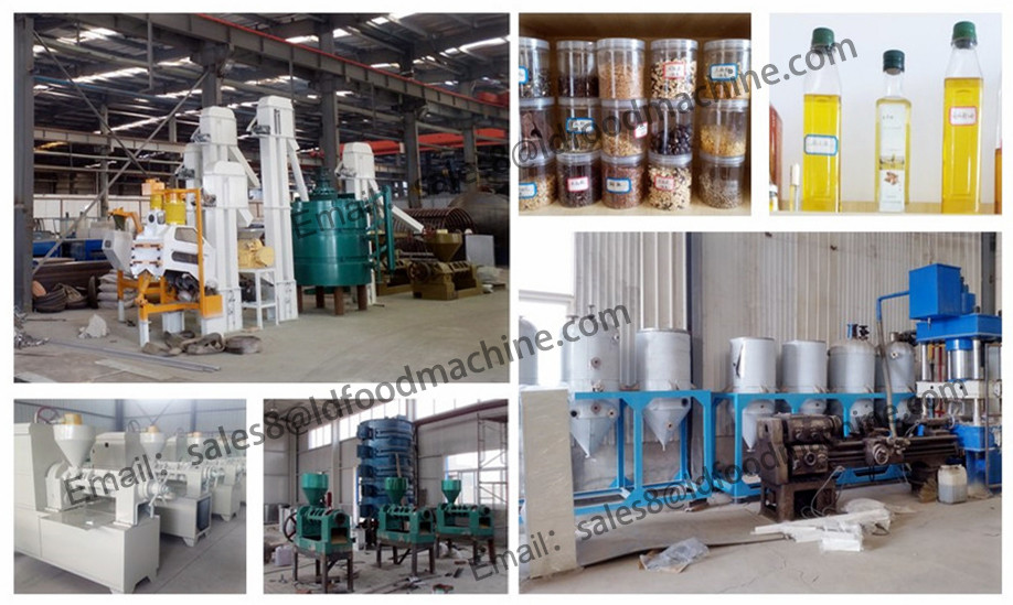 Corn germ oil expeller machine