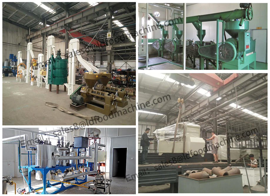 Mini groundnuts oil extraction machines with low price