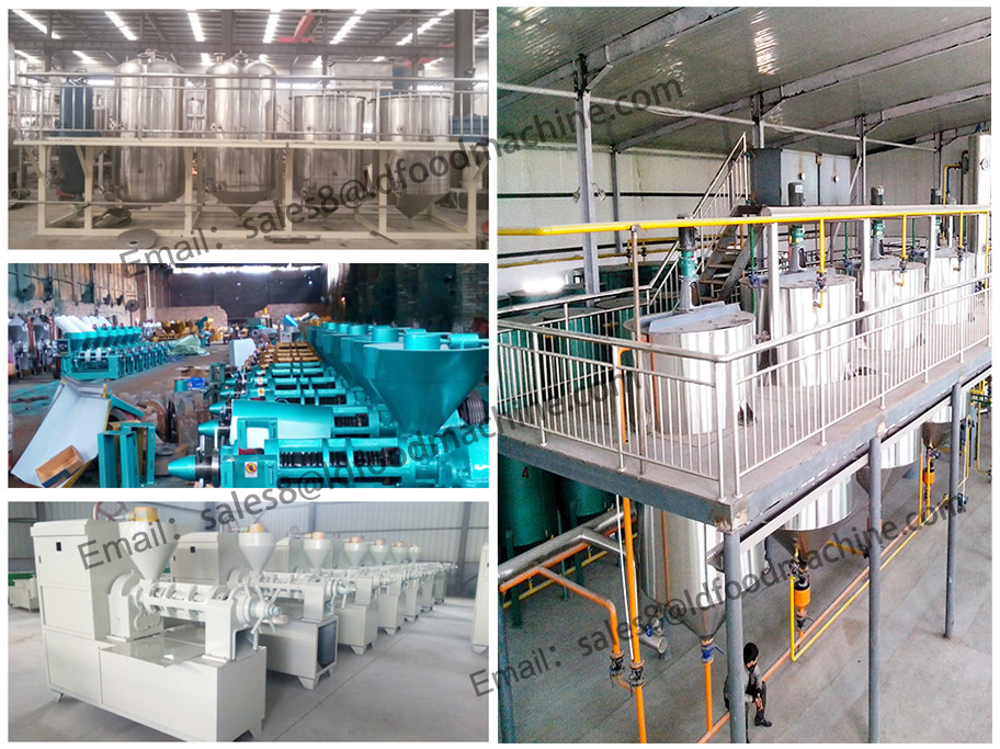 150T/D continuous edible sunflower oil refining machine with dewaxing technoloLD