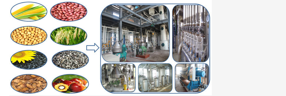 hot selling palm fruit oil making plant/palm oil refinery equipment with factory price