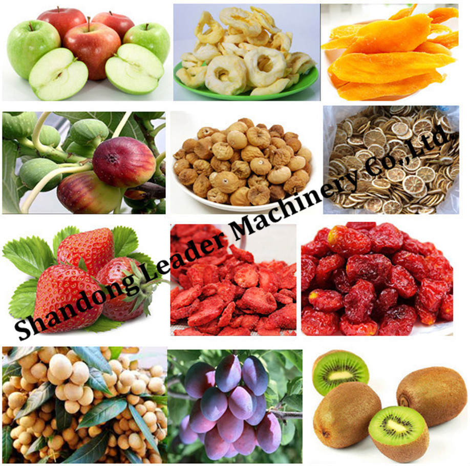 High quality plum dryer machine /mango drying machine