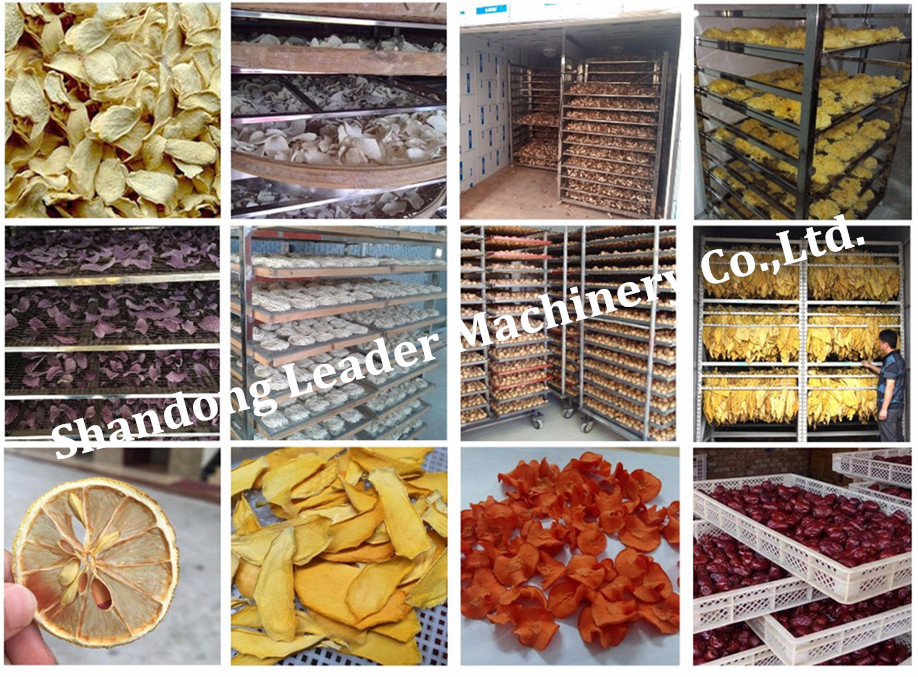 Industrial hot air circulating drying oven for fish