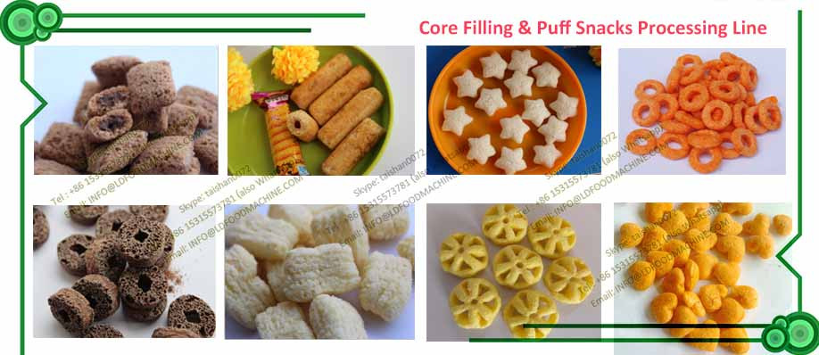 Core filled snack machinery / core filling roll processing line by chinese earliest,LD supplier since 1988