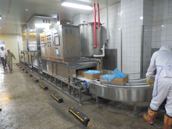 Meat Processing  Microwave Sterilization Machinery