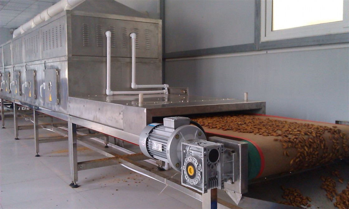 Walnut Shelling Microwave Drying Equipment