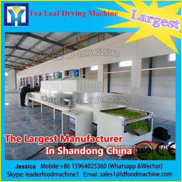Hot Selling Commercial Fruit Drying Machine