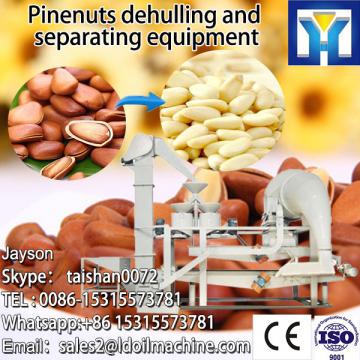 Destoner for Cherry Plum Fruit seed remove machine