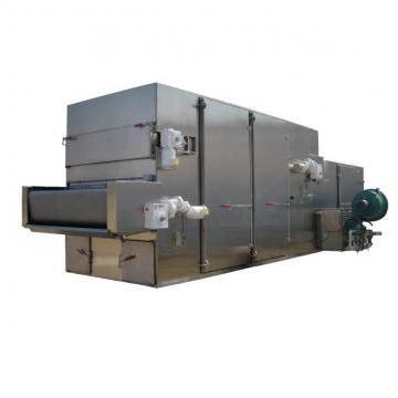 fruit dryer machine continuous mesh belt conveyor type drier hemp hot air dryer machine