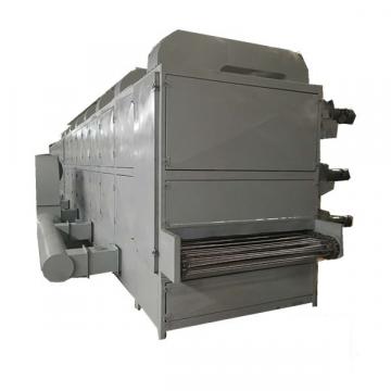 High capacity factory sale price continuous dw mesh belt dryer for chili pepper fresh ginger food