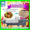 High Efficiency Stainless Steel Chinese-date Washing And Drying machinery
