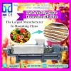 Stainless Steel Industrial Vegetable Washer Tomato Washing machinery Blueberry Cleaning machinery