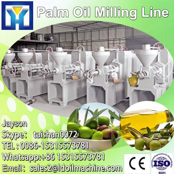 Best quality, most advanced technology oil palm refinery line equipment