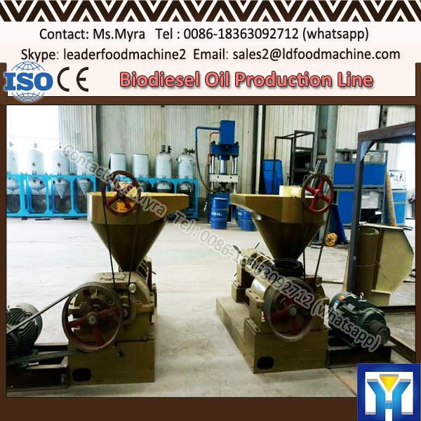 Automatic sunflower oil press/expeller