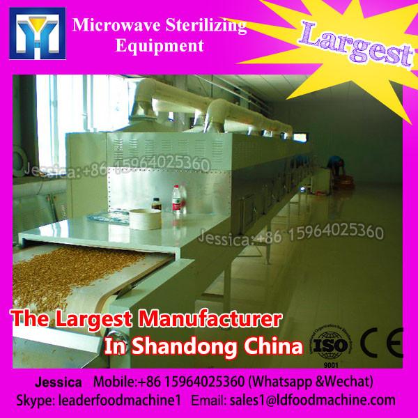 Full Automation Freeze Vacuum Industrial Fish Drying Machine