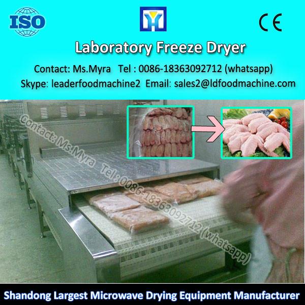 10M3 Custom Design Fresh Fruit Durian Vacuum Freeze Dryer