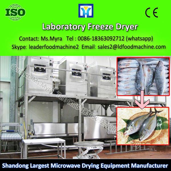 Full Automation Freeze Vacuum Industrial Fish Drying Machine