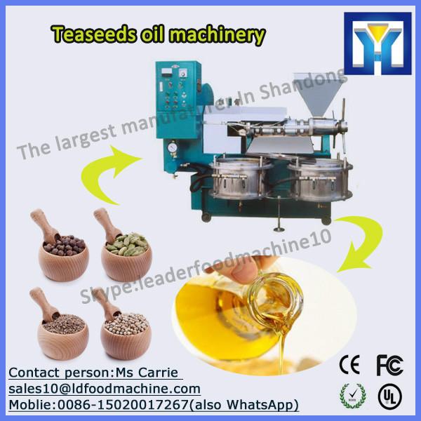 carbon steel Q235 Continuous and automatic palm kernel oil extraction machine