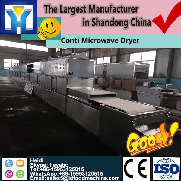 Customized automatic and continuous microwave nuts dryer