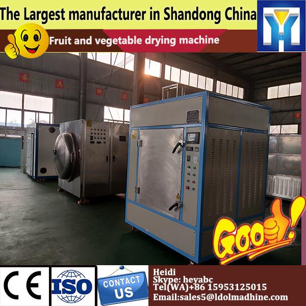 Good Quality and Certified Vegetable And Fruit Drying Equipment
