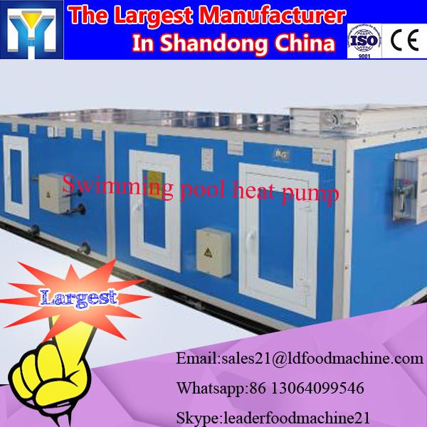 Industrial Batch Microwave Vacuum Drying Machine for Flowers
