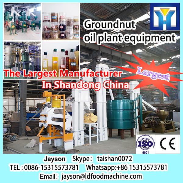 Full stainless steel camellia oil mill/ hydraulic olive oil press machine/ sunflower seed oil press machine