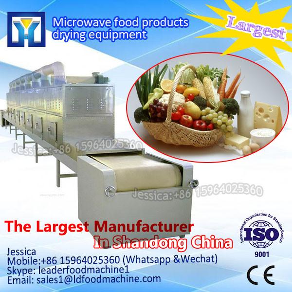Low price high quality microwave drying equipment