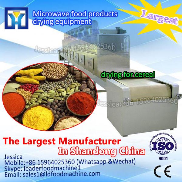 High quality microwave dryer equipment for drying fruits and vegetables