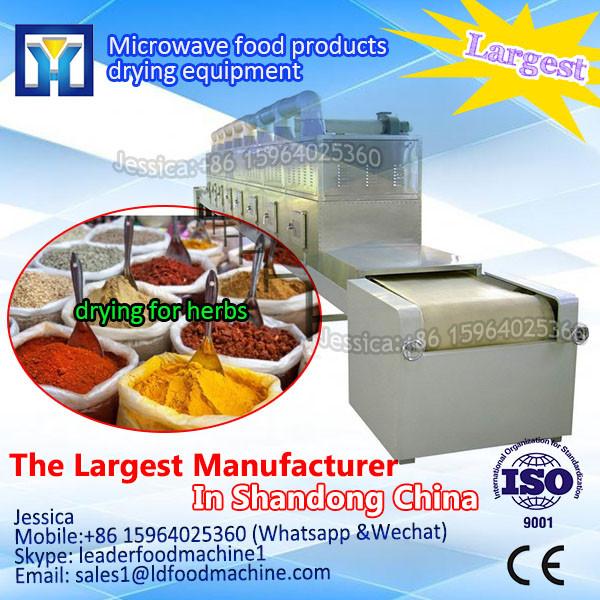 low price high quality raisin microwave dryer